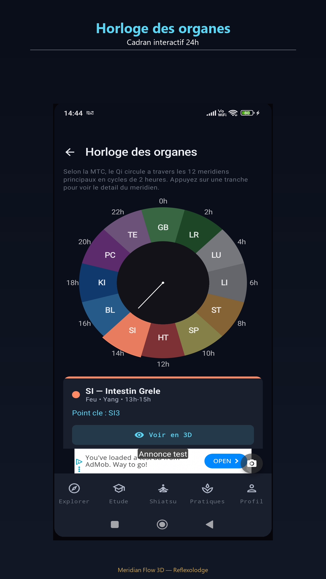 Horloge des organes